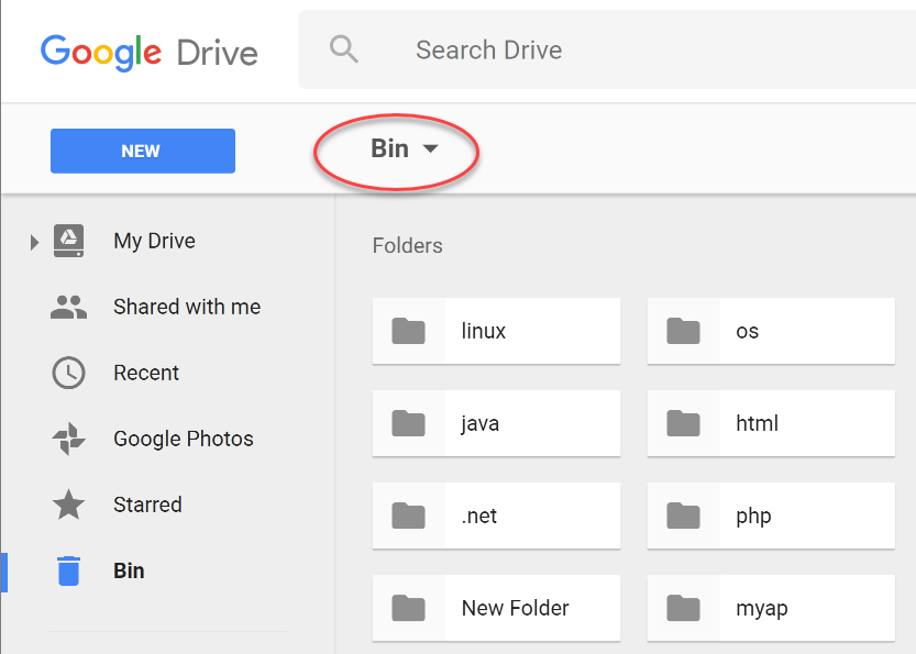 Google Drive - Bin